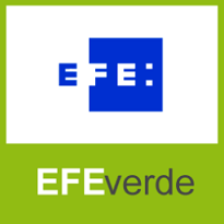 logo efeverde-efe-verde