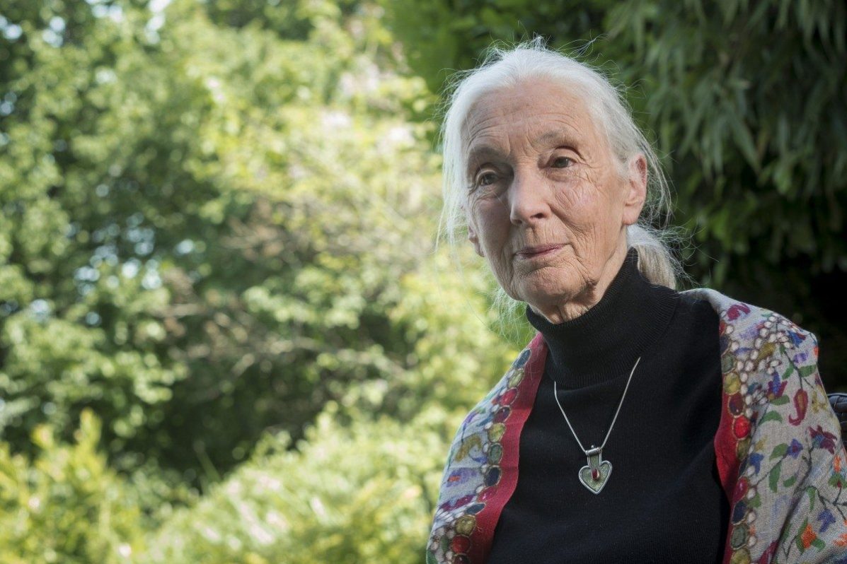 Jane Goodall en su visita a Madrid. Imagen de archivo. EFE/Zsolt Szigetvary