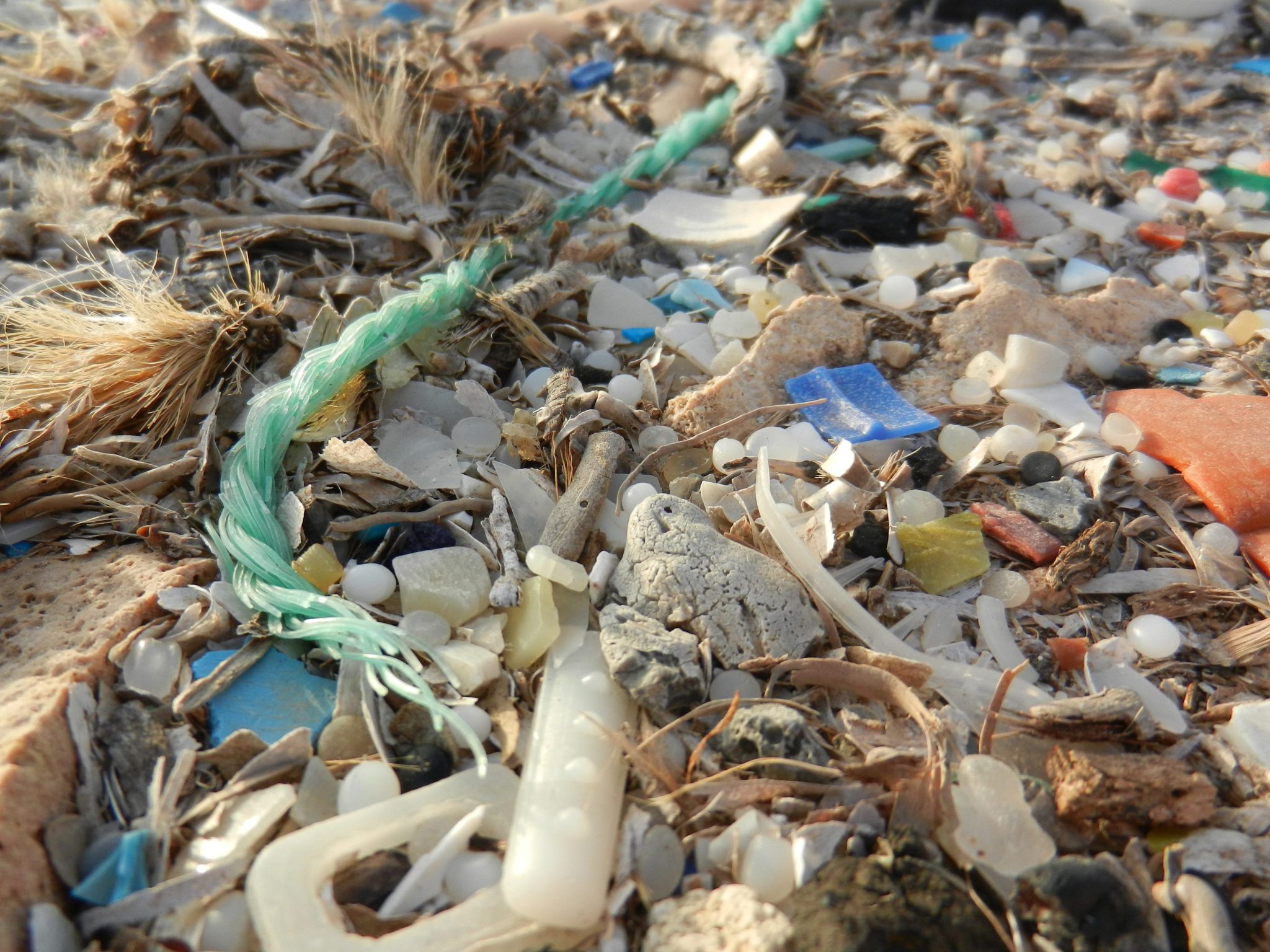 Restos de plásticos en Cale en Bassi, en Mallorca. Foto cedida por Oceanic Imagery Publications/Troy Meyne