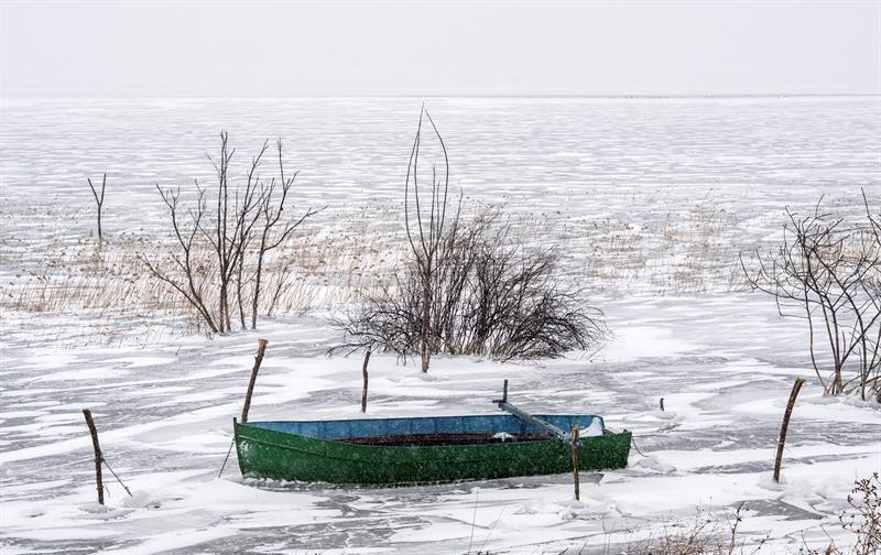 El lago de Dojran ha estado congelado durante los últimos 5 días y cientos de pájaros se han visto afectados a la hora de alimentarse a causa de las temperaturas extremas del país, que ha alcanzado los 20 grados celsius bajo cero durante la última semana. EFE/Georgi Licovski