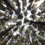 LA PRENSA NECESITA "UN SISTEMA DE JUSTICIA QUE FUNCIONE", AFIRMA LA UNESCO