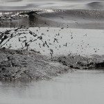 CONTINÚA LA LIMPIEZA DEL VERTIDO DE CRUDO EN LAS COSTAS DEL ESTE DE TAILANDIA