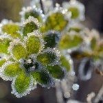 RÉCORD DE TEMPERATURA MÍNIMA EN ZABAR